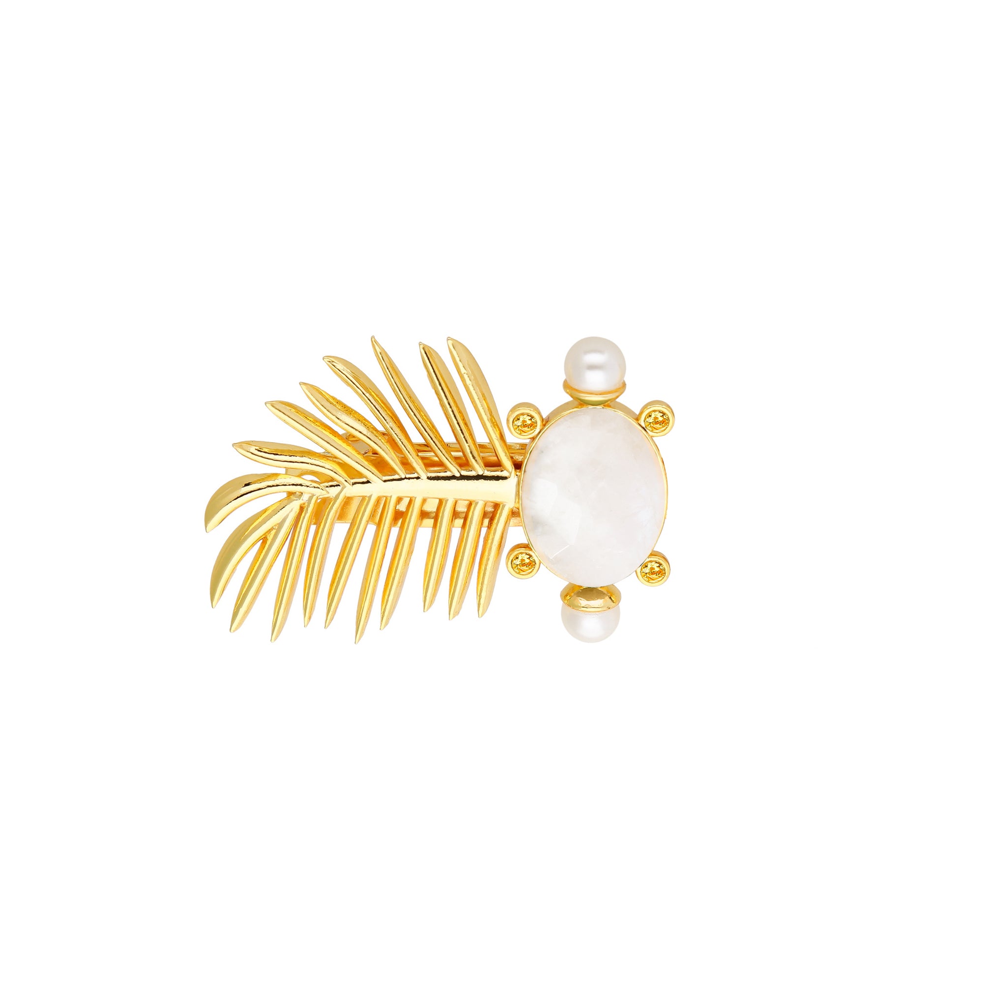 Broche Palm vibes