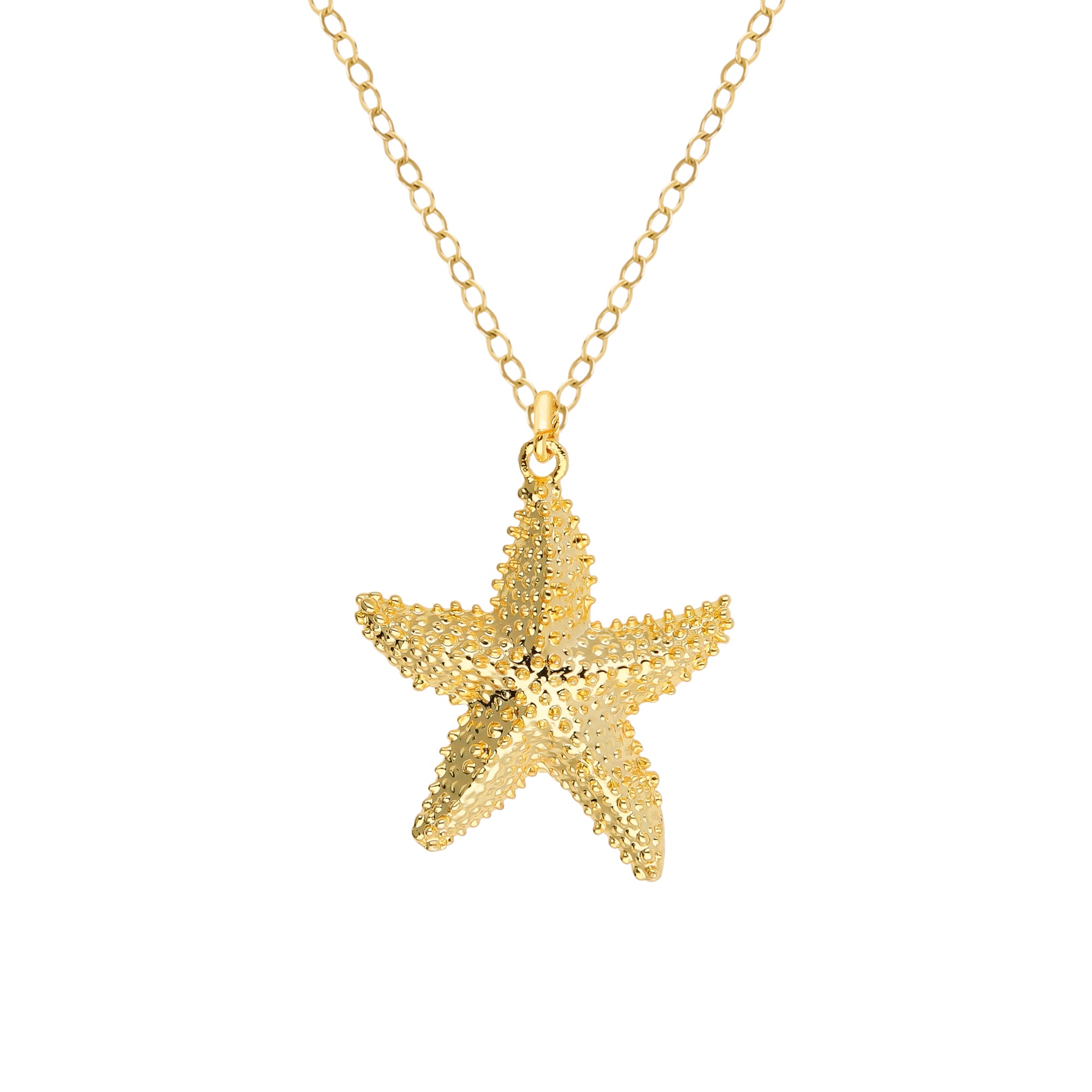 Pendentif Star is born
